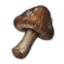 crude mushroom lost ark wiki guide 64x