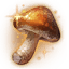 exquisite mushroom foraging rewards lost ark wiki guide 64x