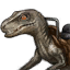 gray stripe raptor mount icon lost ark wiki guide