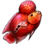 redflesh fish lost ark wiki guide 64x