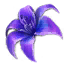 shy wild flower foraging lost ark wiki guide 64x
